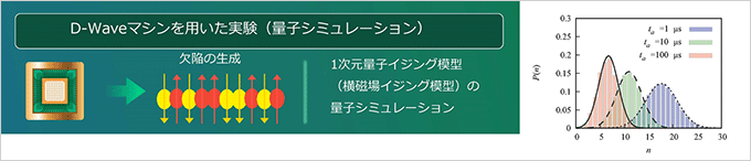 量子磁性体中の欠陥の分布を、量子アニーリングマシンによりシミュレートし、理論との整合性を検証