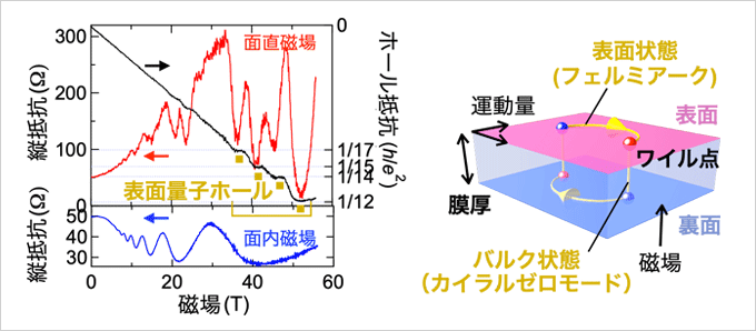 トポロジカル半金属表面における量子ホール状態の観測と描像