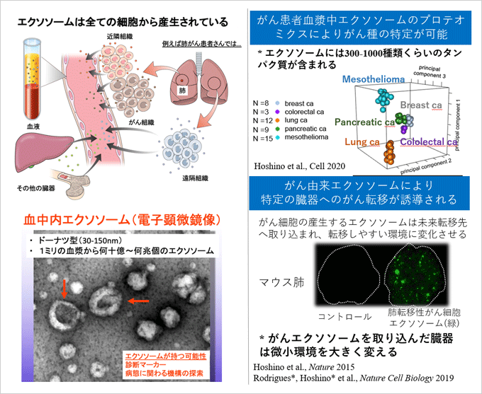 エクソソームの生態と、エクソソームから得られるがん情報