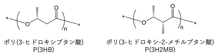 図1. 一般的な微生物ポリエステルP(3HB) と新しく開発したポリエステルP(3H2MB)