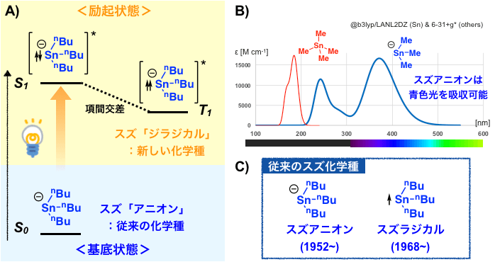 図1. 本研究の概要と理論計算による予測