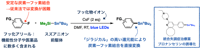 図3. フッ化アリールとの反応による有機スズ化合物合成と医薬品への応用