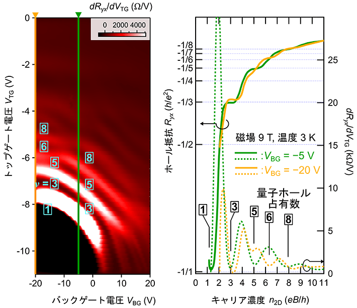 図3. トポロジカル半金属(Cd1-xZnx)3As2薄膜（x =0.7、膜厚75 nm）においてデュアルゲートによる量子ホール効果のマッピングを行った結果（左）と、代表的なバックゲート電圧（緑：－5 Vと黄：－20 V）における、トップゲート電圧VTG掃引に対するホール抵抗Ryxと一階微分dRyx/dVTGの変化（右）。