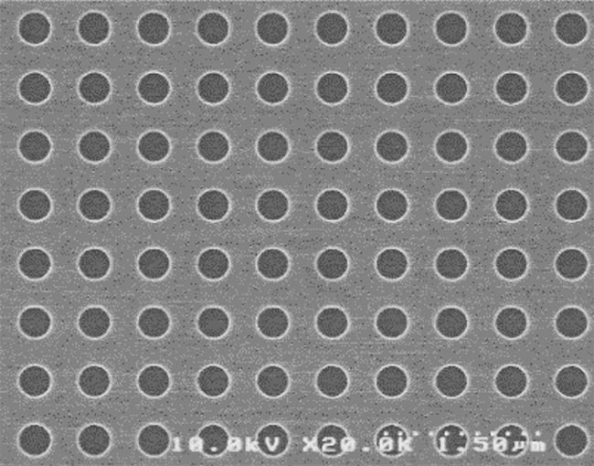 フォトニック構造の走査電子顕微鏡画像：フォトニック結晶