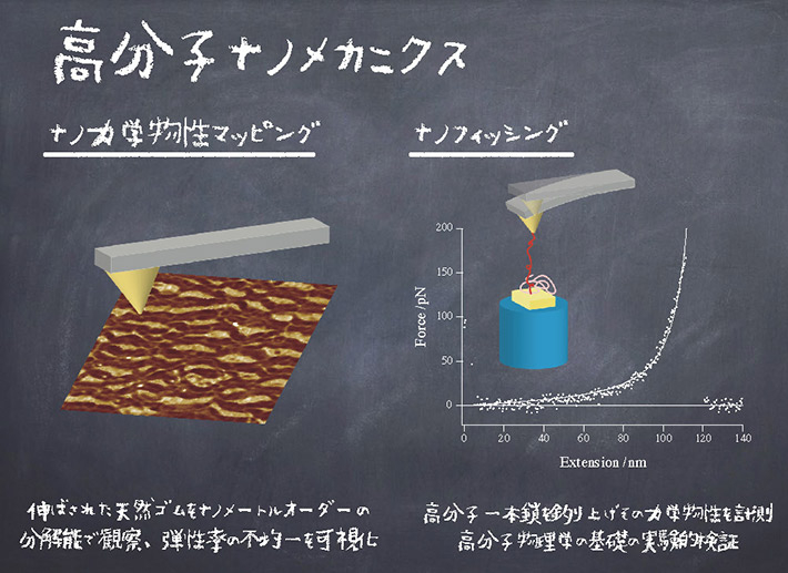 高分子ナノメカニクスで実現するナノ力学物性マッピングとナノフィッシング