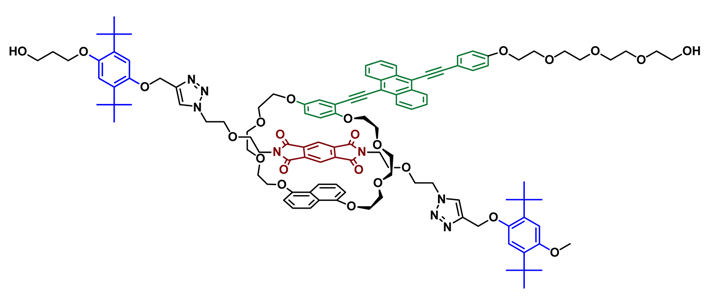 図1 今回開発したロタキサン型超分子メカノフォア。 