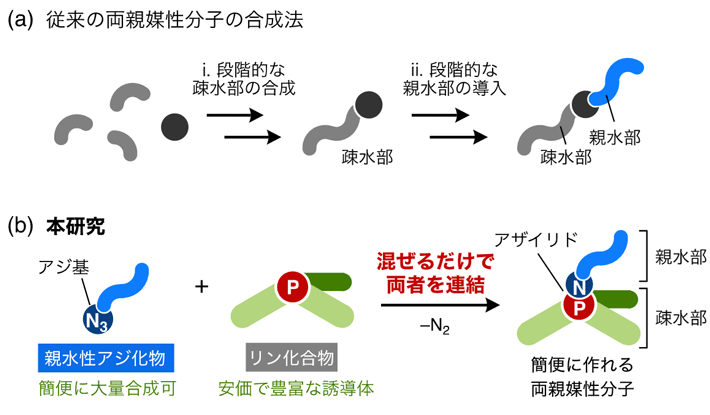 図1. （a）従来の両親媒性分子の合成法と（b）本研究の合成戦略の概略図