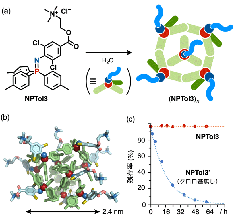 図3. （a）両親媒性分子NPTol3の水中での集合挙動の概略図と（b）(NPTol3)10のモデル構造、（c）NPTol3とNPTol3'（クロロ基無し）の水中における安定性の比較