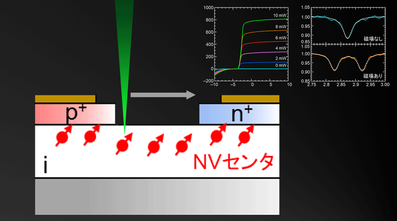 小型・集積化につながるダイヤモンド量子センサのスピン情報の電気的読み出しに成功