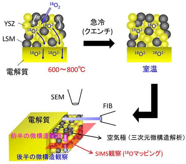 図1 SOFC空気極の反応場と三次元構造の同時観察手法 