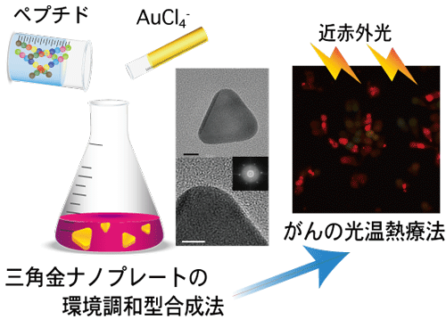 本研究成果のイメージ図