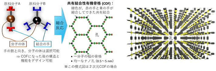 図1 COF形成の模式図（左）と3次元COFの模式図（右） 