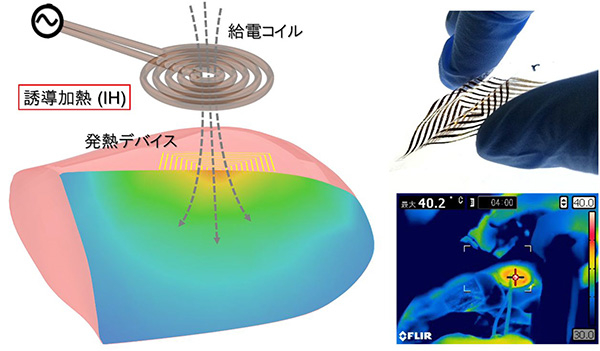 独自の配線転写技術を用いた電子回路形成により、高分子薄膜からなる柔軟性に富んだ厚さ7 µmの発電デバイスを開発。非接触給電による誘導加熱（IH）を利用して、生体組織の局所的な加温を実現した。（論文 Figure 1およびFigure 6eを改変のうえ転載）