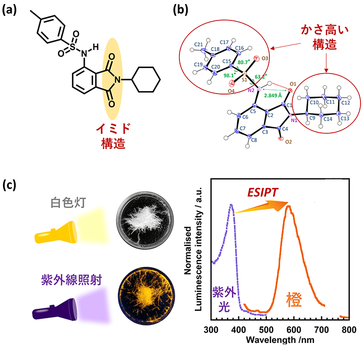 図2 新規に開発したイミド化合物の結晶状態での特性 （a）新規開発した化合物の分子構造。（b）X線構造解析にて明らかになった結晶状態でのイミド化合物の立体配座。かさ高い構造を有している。（c）白色灯下、紫外光照射下でのイミド化合物の写真と励起・蛍光スペクトル。白色灯下では無色で、紫外光照射により橙色蛍光を発するESIPT性分子であることが判明した。