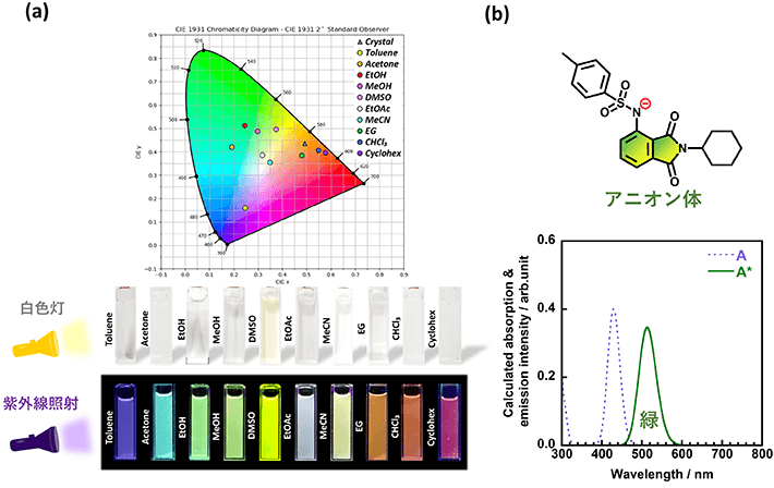 図3 新規開発したイミド化合物の溶液状態での特性とアニオン体 （a）化合物を溶かした溶液の白色灯下、紫外光照射下の写真（下）と発光色をプロットしたCIE色度図（上）。白色灯下ではほぼ無色透明の溶液であるが、紫外光を照射すると異なる発光色（多色蛍光）が観察された。（b）アニオン体の分子構造と計算により予測された光吸収・発光スペクトル。アニオン体は紫外から青色の光を吸収して緑色蛍光を発すると予測された。