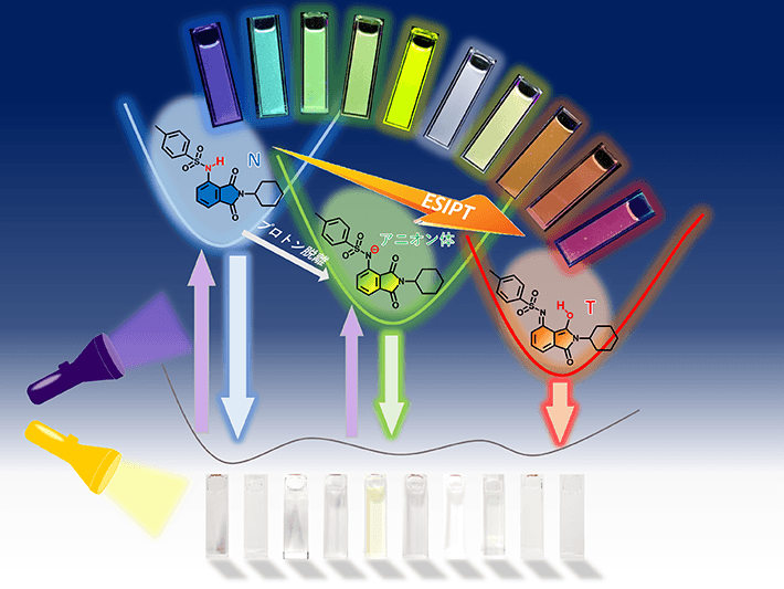 図4 イミド分子が溶液状態で多色蛍光を示す原理の模式図 