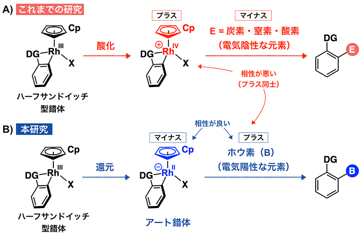 図1 本研究とこれまでの研究の比較 A）これまでの研究では、錯体を「酸化」によってプラスに帯電させることで、炭素・窒素・酸素を有する官能基との反応を促した。しかしこの方法では電気陽性なホウ素との結合は難しい。 B）そこで本研究では、「還元」によってマイナスに帯電したアート錯体を発生させることで、電気陽性なホウ素と良好に相互作用させることを目指した。（Rh = ロジウム、Cp = シクロペンタジエニル、DG = 配向基[用語9]）