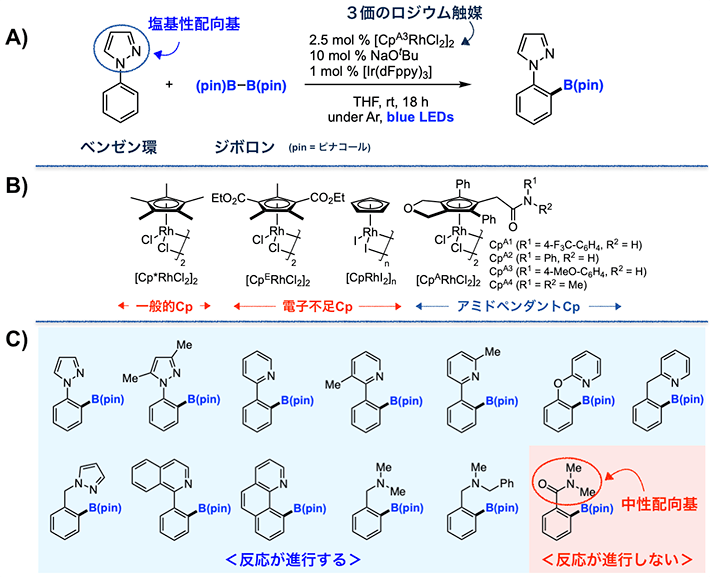 図3 ベンゼン環の炭素―水素結合のホウ素化反応 