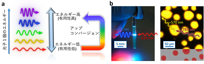 図1 （a）フォトン・アップコンバージョンの概念図と（b）「概要」の掲載論文で例示した試料によるUC。 