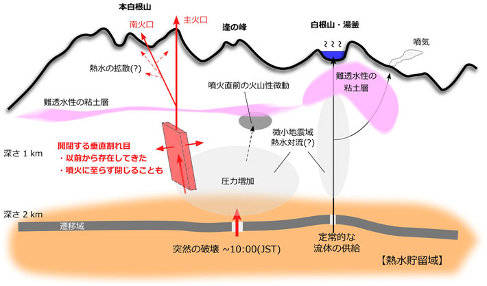 図2 草津白根火山における水蒸気噴火に関係する構造（Terada et al. (2021) を加筆・修正して作成） 赤で表示された、深さ1 km前後の地点に存在する割れ目を介して、深さ2 km前後の地点にある熱水貯留域に由来する熱水が地表へ向かい、減圧して大量の蒸気が発生することで水蒸気噴火が発生したと考えられる。