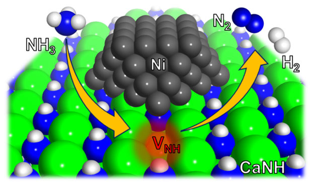 図1. Ni/CaNH上におけるアンモニア分解反応のメカニズム。NH空孔（VNH）はCaNHとNiの界面に形成され反応性の高い電子が存在している。電子とアンモニア分子は速やかに反応する。