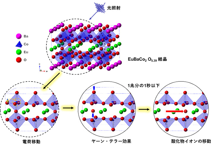 図2 本研究で明らかとなったセラミックス材料（EuBaCo2O5.39）中での光誘起酸素移動現象の概略図