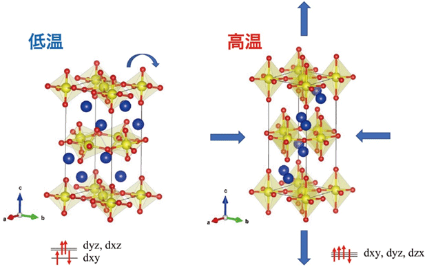 Ca2RuO4の低温（左）と高温（右）の結晶構造。低温ではdxy軌道のみが2つの電子を持つため、酸素8面体が横に伸びている。8面体が傾斜することでもc軸（縦）方向に収縮している。昇温すると、これらの歪みが解消することで、c軸（縦）方向に膨張、b軸（横）方向に収縮する。