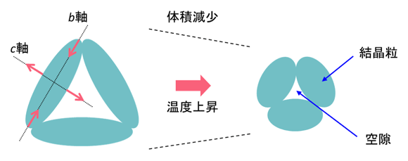 図2 結晶粒の異方的な熱膨張による材料組織の変化と負熱膨張の模式図。 