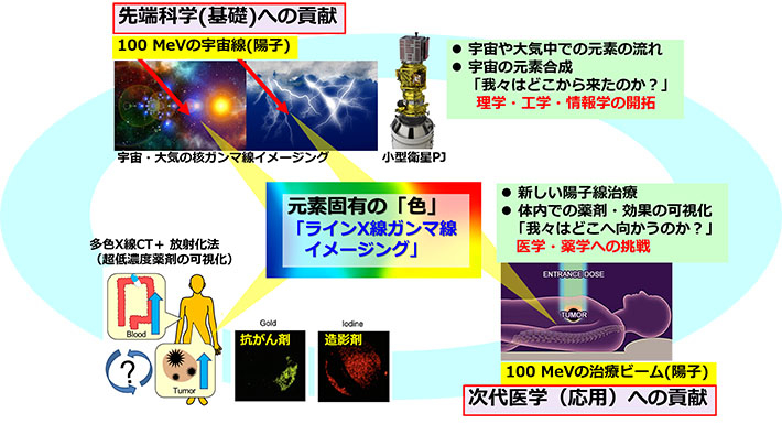 図1 本ERATOプロジェクトで進める研究の全体像 