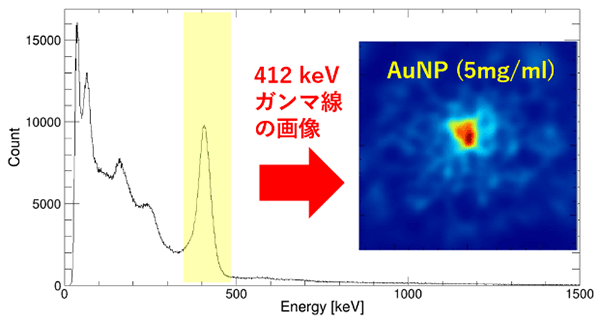 AuNP薬剤の放射化イメージングの例