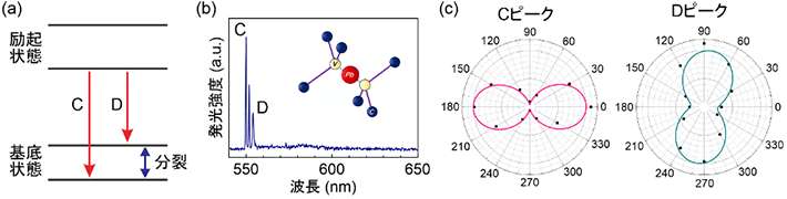 図1 (a) ダイヤモンド中のPbV中心のエネルギー準位。 (b) PbV中心の発光スペクトル（約6 K）。CとDピークの間にあるのは、ダイヤモンド結晶に由来するラマンピーク。挿入図はPbV中心の構造図。 (c) 単一PbV中心の偏光特性。