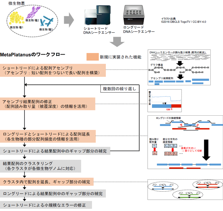 図1 開発手法（MetaPlatanus）の模式図 