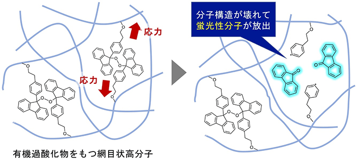 図2 有機過酸化物骨格を有する網目状高分子から9-フルオレノンの放出