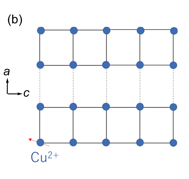 （b）逸見石の磁気スピン格子の幾何学的な特徴。実線は強い反強磁性相互作用、破線は弱い反強磁性相互作用を示す。