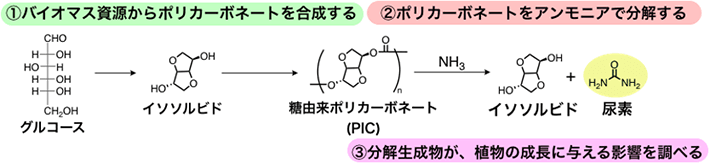 図3 本研究の概要 