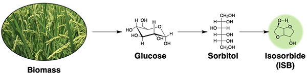 バイオマス資源であるイソソルビド