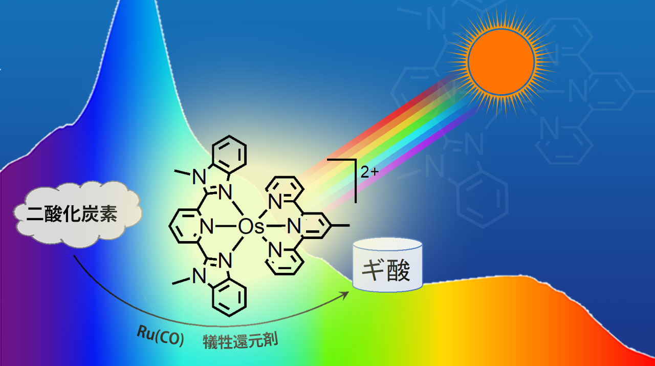 可視光全域を利用できるレドックス光増感剤を開発