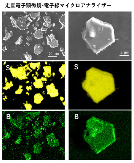 図1 菱面体硫化ホウ素の走査電子顕微鏡（上段）および電子線マイクロアナライザー観察（中段・下段）の結果。黄色は硫黄、緑はホウ素の部分を示す。両者が電子顕微鏡像と同じ形をしていることから、観察している試料が全て硫黄とホウ素で構成されていることが分かる。
