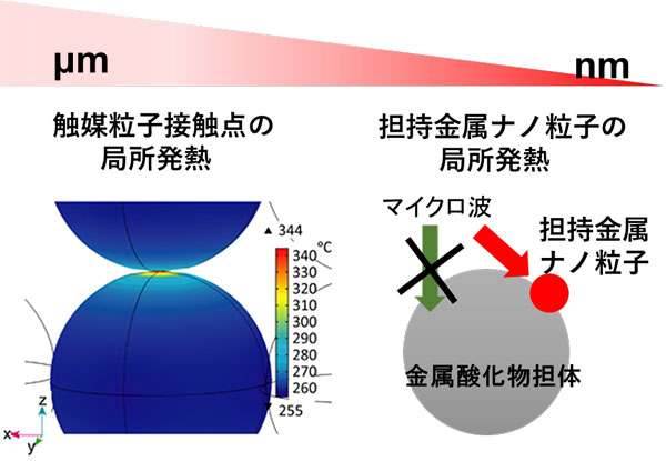 図1 マイクロ波照射による、触媒粒子接触点および担持金属ナノ粒子の局所発熱 