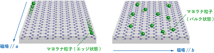 磁場Hをa軸方向に向けた際のマヨラナ粒子の状態（左図）と、磁場をb軸方向に向けた際のマヨラナ粒子の状態（右図）。