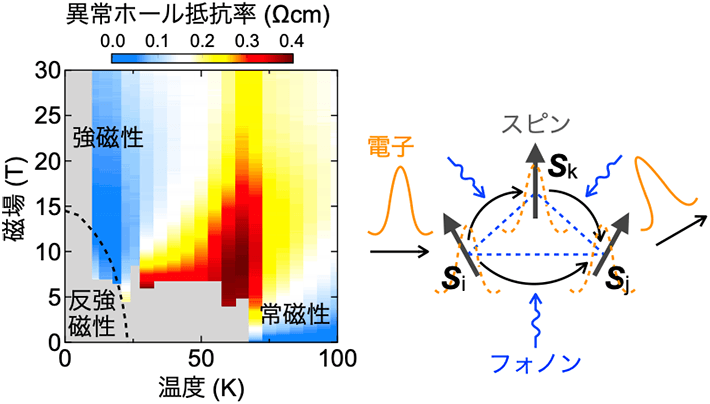 図3 （左）磁化に比例しない異常ホール抵抗成分の温度磁場相図上の強度。（右）有限のスピンカイラリティを持つ非共面的なスピン配置におけるホッピング伝導を考慮した異常ホール効果の理論。