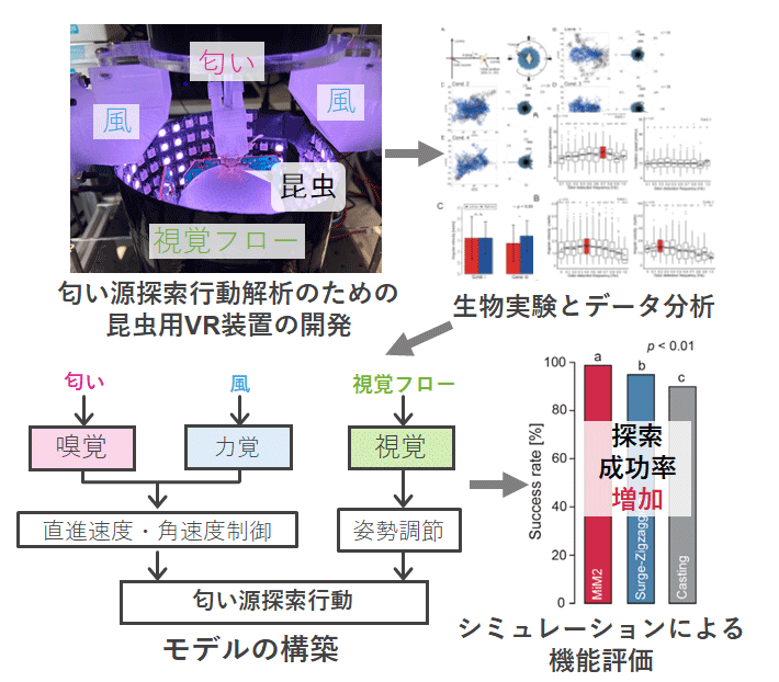 図1 昆虫用VRを用いた行動実験からモデル検証までの一連の流れ 