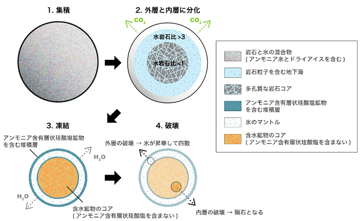 図4. 本研究から導かれたC型小惑星の形成進化史