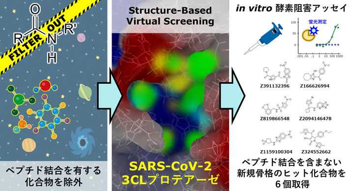 図1 今回のヒット化合物探索の流れ 