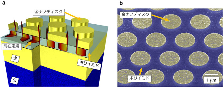 a.光吸収メタ表面と誘電体層に局在する光電場シミュレーション結果 b. 実際に作製したメタ表面の走査型電子顕微鏡図