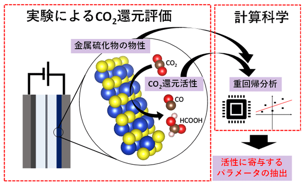 図1 本研究で行った、実験及び計算科学を用いた活性寄与パラメータ抽出の流れ 