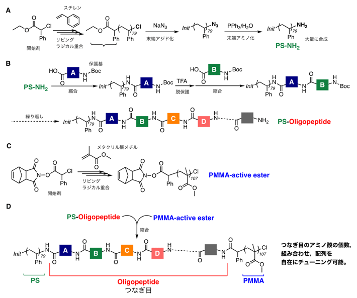 図1. つなぎ目にオリゴペプチドを有するPS-block-PMMAの合成