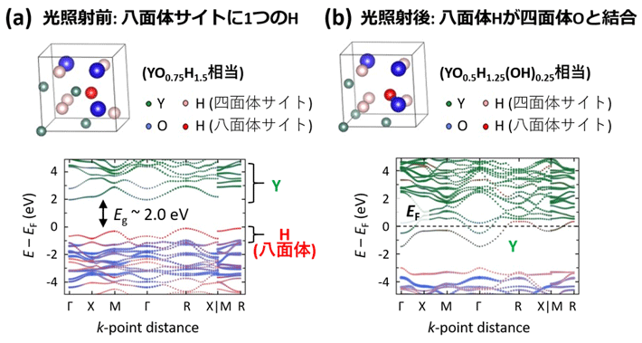 図2：（a） 光照射前の構造モデルにおけるバンド計算。（単位格子内の3つのOと5つのHを四面体サイト（Thサイト）に、 1つのHを八面体サイト（Ohサイト）に配置した。バンドギャップ（Eg）が~2.0 eVの絶縁体である。 （b） 光照射後の構造モデルにおけるバンド計算。八面体サイトのHが四面体サイトのOと結合している。フェルミ準位（EF）をYの伝導帯が横切っており、金属的な電子状態であることを表している。