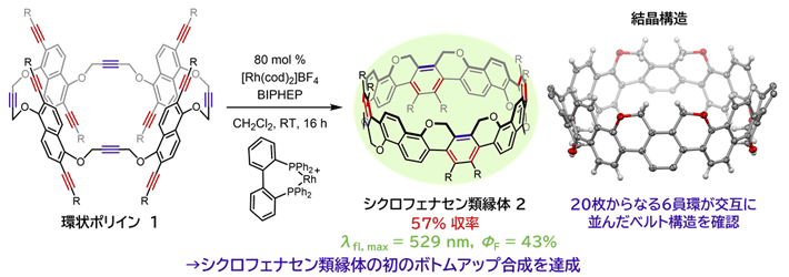 図3 シクロフェナセン類縁体の合成と結晶構造 