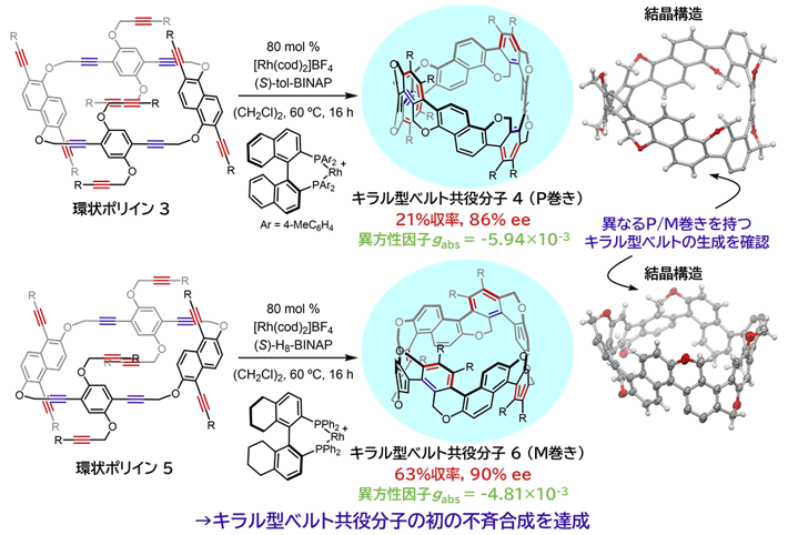 図4 キラル型ベルト共役分子の触媒的不斉合成と結晶構造 